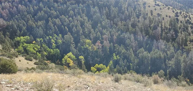a view of a dry yard with mountains in the background