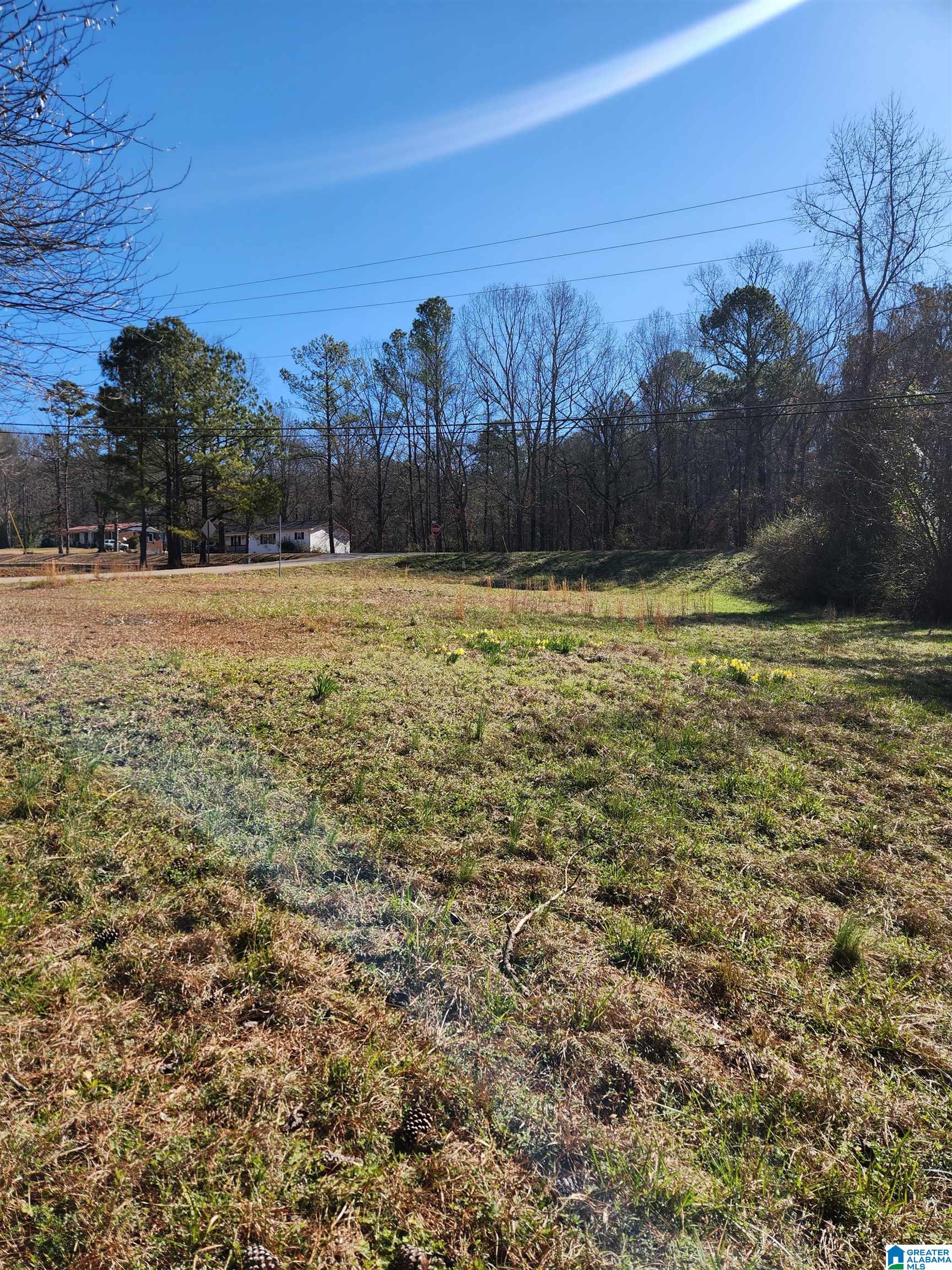 29 Self Road, Unit 1 Anniston, AL 36201 - Photo 7 of 12