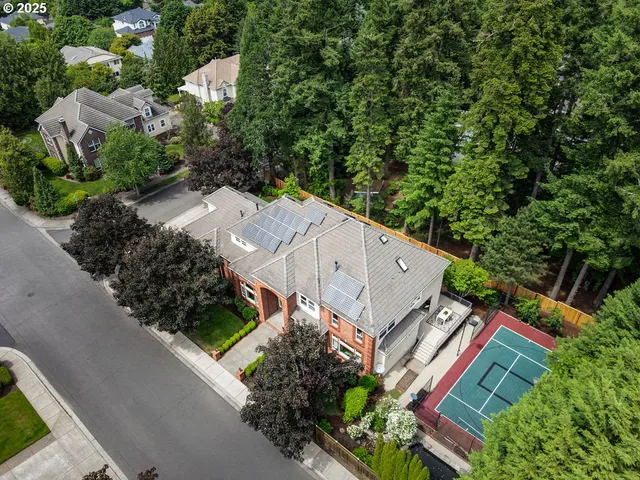 an aerial view of a house with a yard and large trees