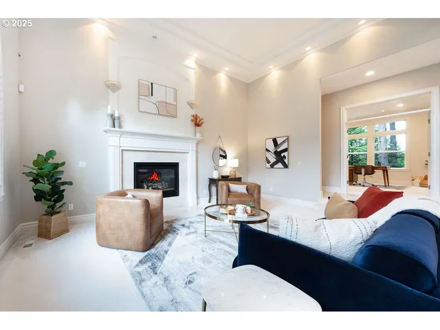 a living room with furniture potted plant and a fireplace