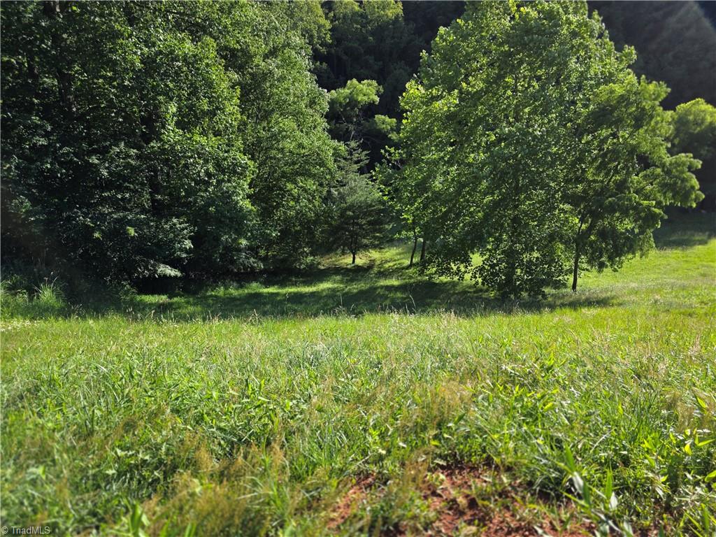 3205 Sheets Gap Road Millers Creek, NC 28651 - Photo 15 of 46