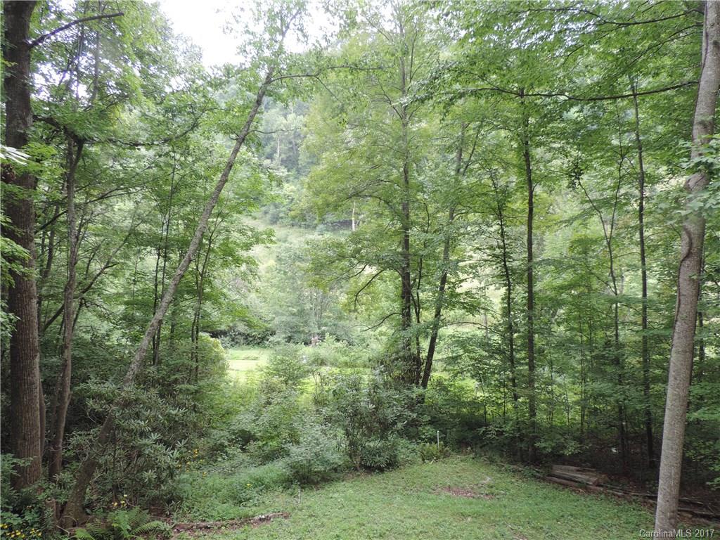 5705 Liner Creek Road Clyde, NC 28721 - Photo 14 of 17