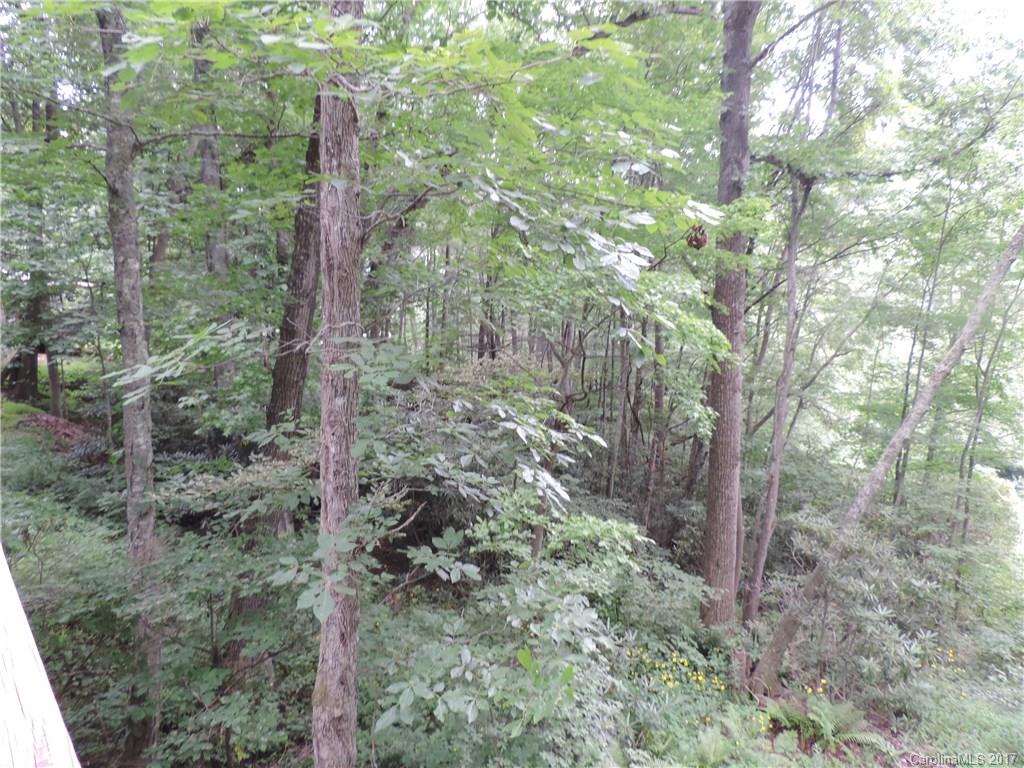 5705 Liner Creek Road Clyde, NC 28721 - Photo 15 of 17