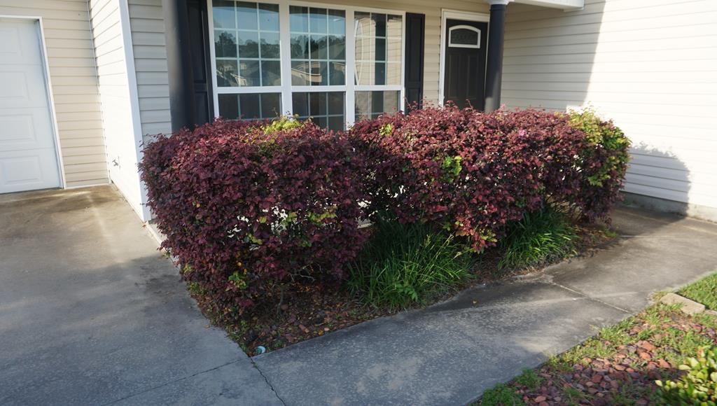 3642 Tupelo Road Valdosta, GA 31605 - Photo 12 of 12 Gallery Image 12