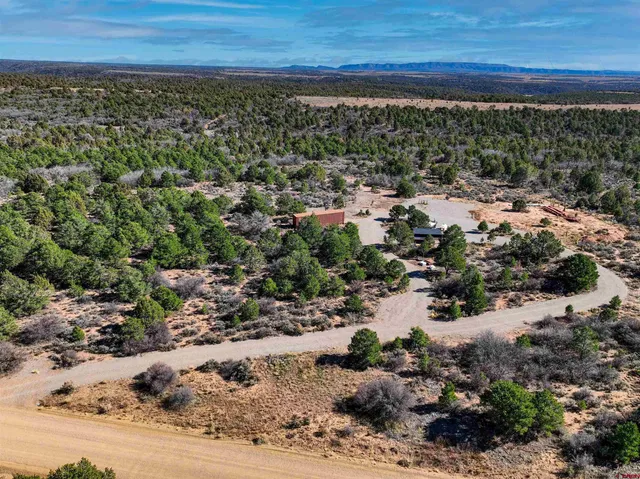 a view of a yard with wooden floor and outdoor space