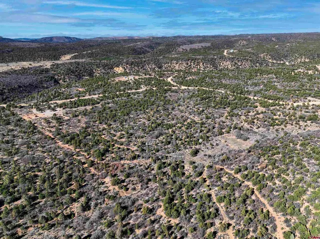 an aerial view of residential houses with city view