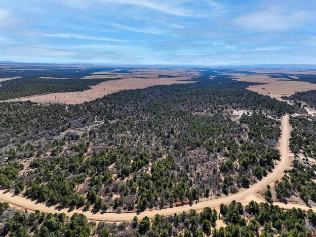 a view of a sky from a yard