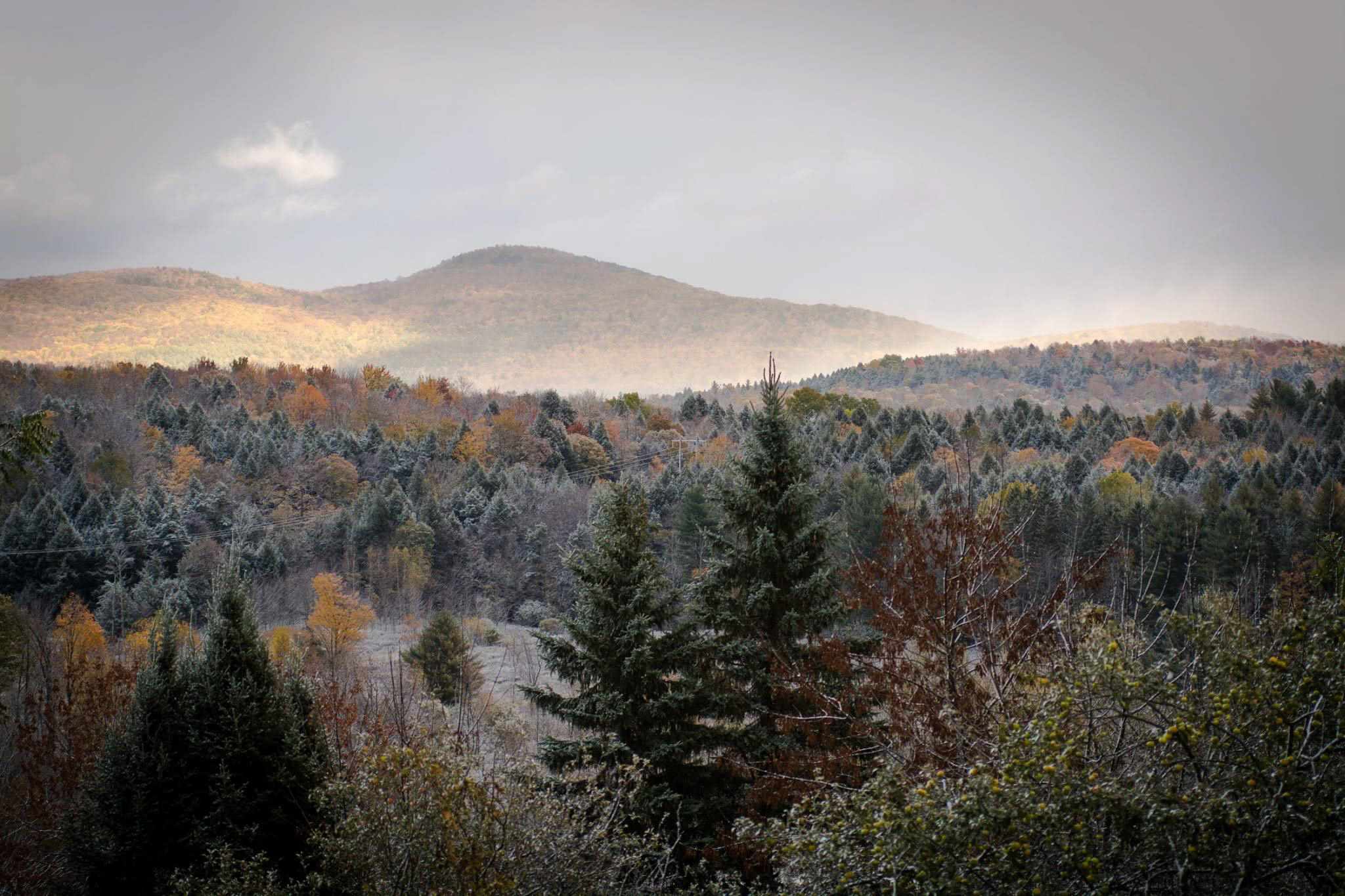 37 Lochmoor Road Fairfax, VT 05454 - Photo 2 of 40