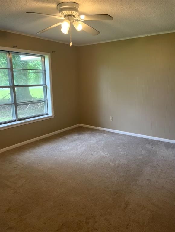 1381 Franklin Road Heflin, LA 71039 - Photo 7 of 11 Gallery Image 7