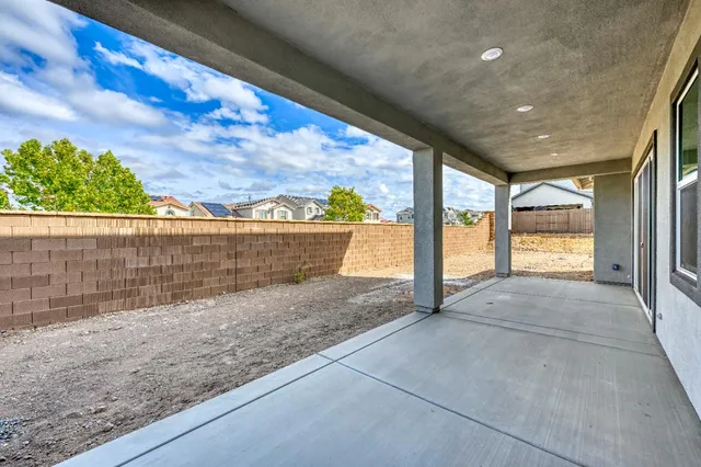 a view of backyard and tree