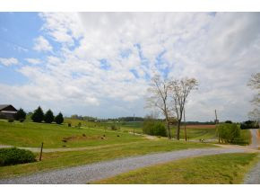 410 Barren Road Chuckey, TN 37641 - Photo 6 of 17 Photo 6