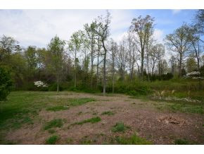 410 Barren Road Chuckey, TN 37641 - Photo 7 of 17 Photo 7