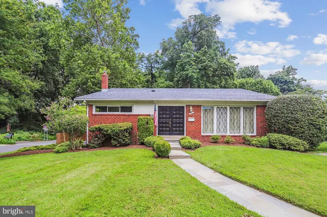 a view of a yard in front of a house with plants and large tree