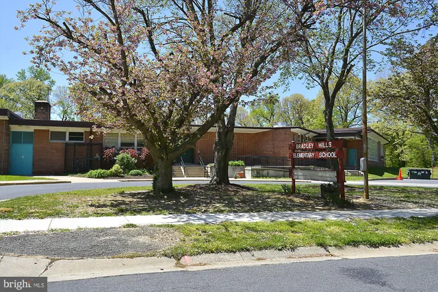 a view of a garden with patio