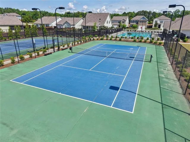 a view of a garden with plants and flowers