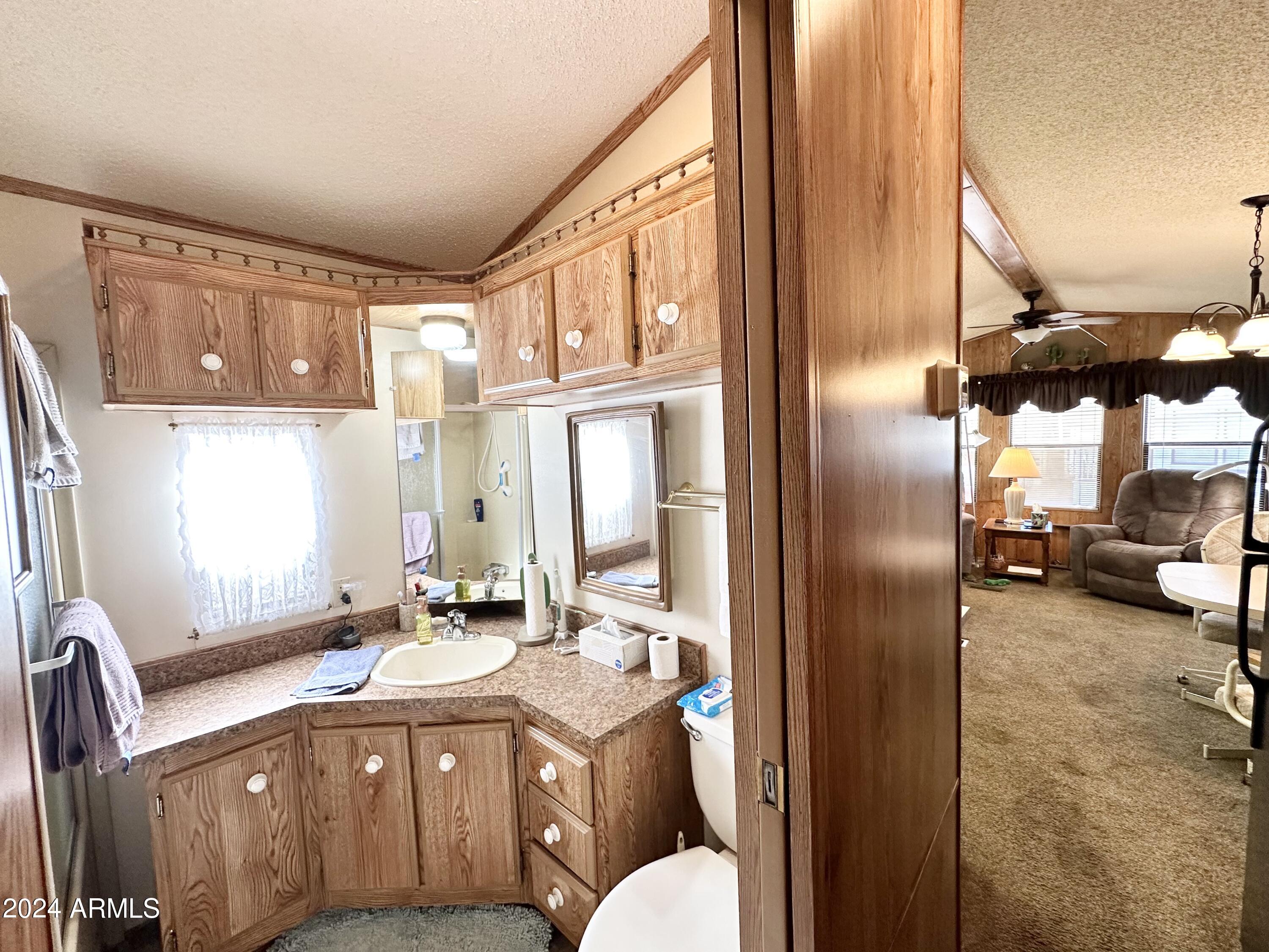 1007 South Prospectors Road Apache Junction, AZ 85119 - Photo 28 of 43 BATHROOM ENTRY