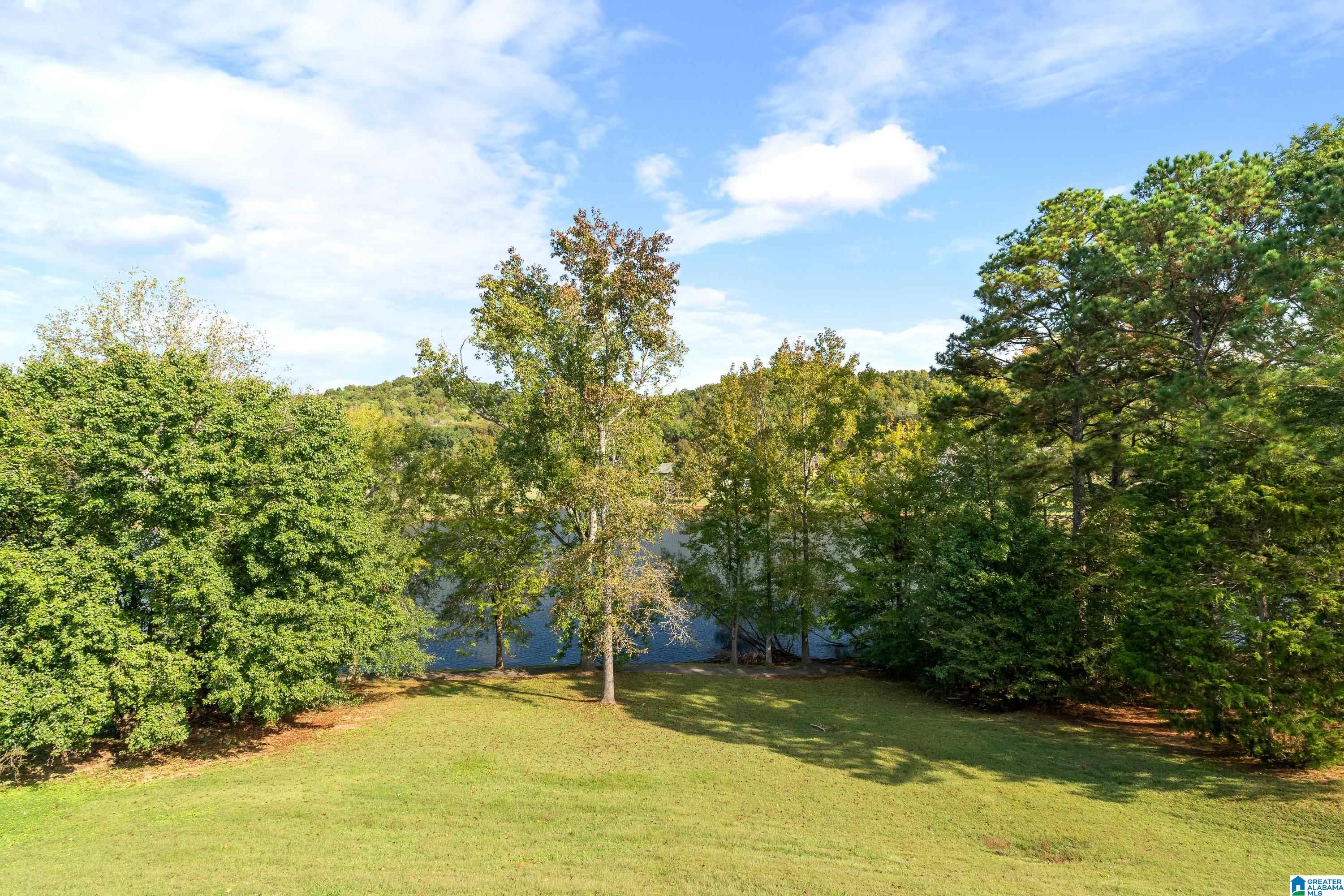 428 MacDonald Lk Road Springville, AL 35146 - Photo 34 of 53 Gallery Image 34