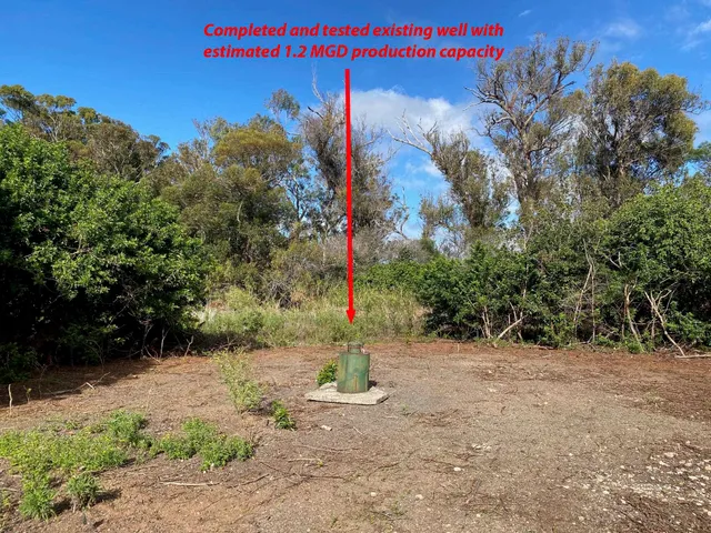 a street view with tall trees
