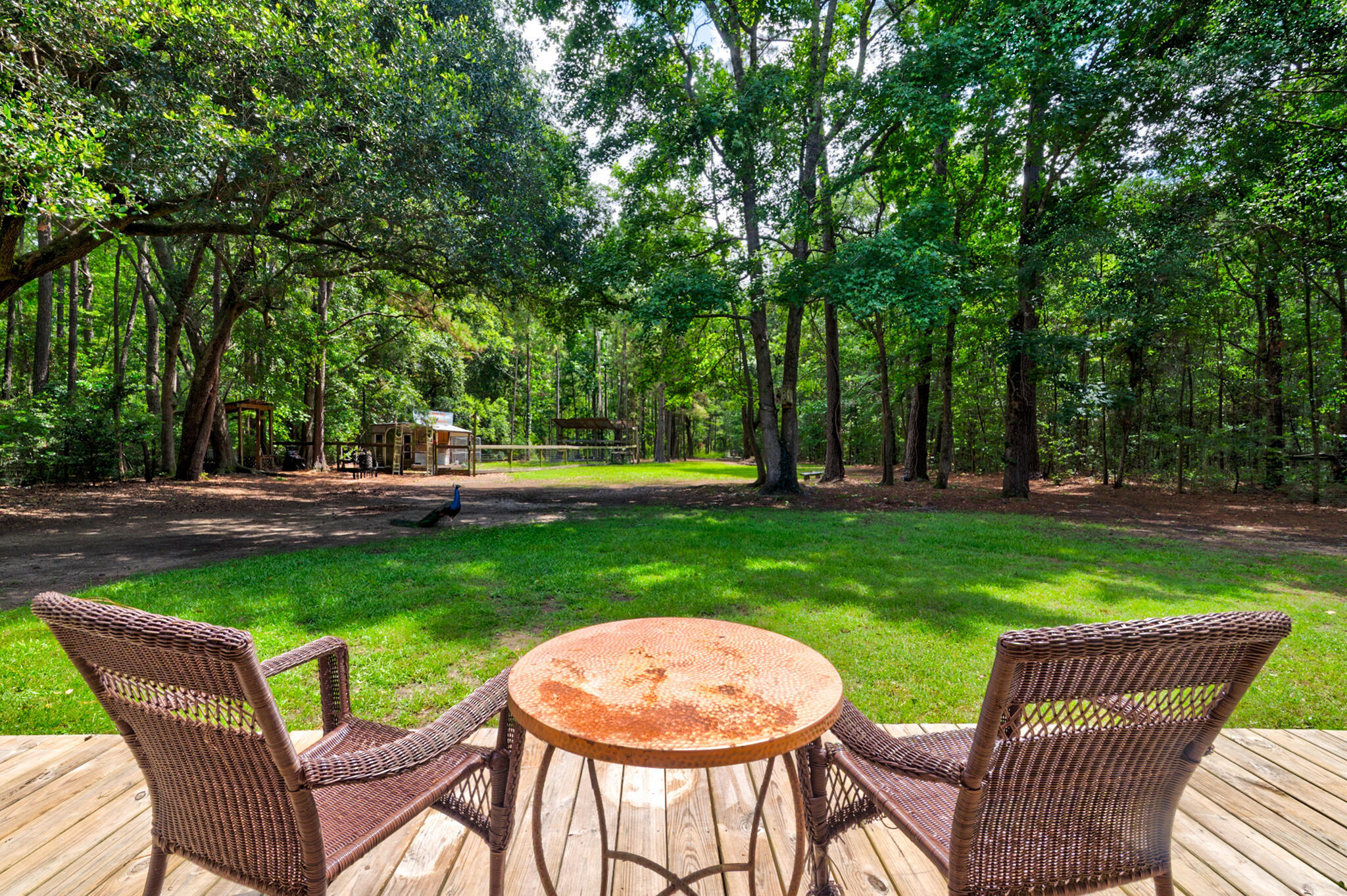 1384 Tibwin Road McClellanville, SC 29458 - Photo 3 of 52 Private Backyard