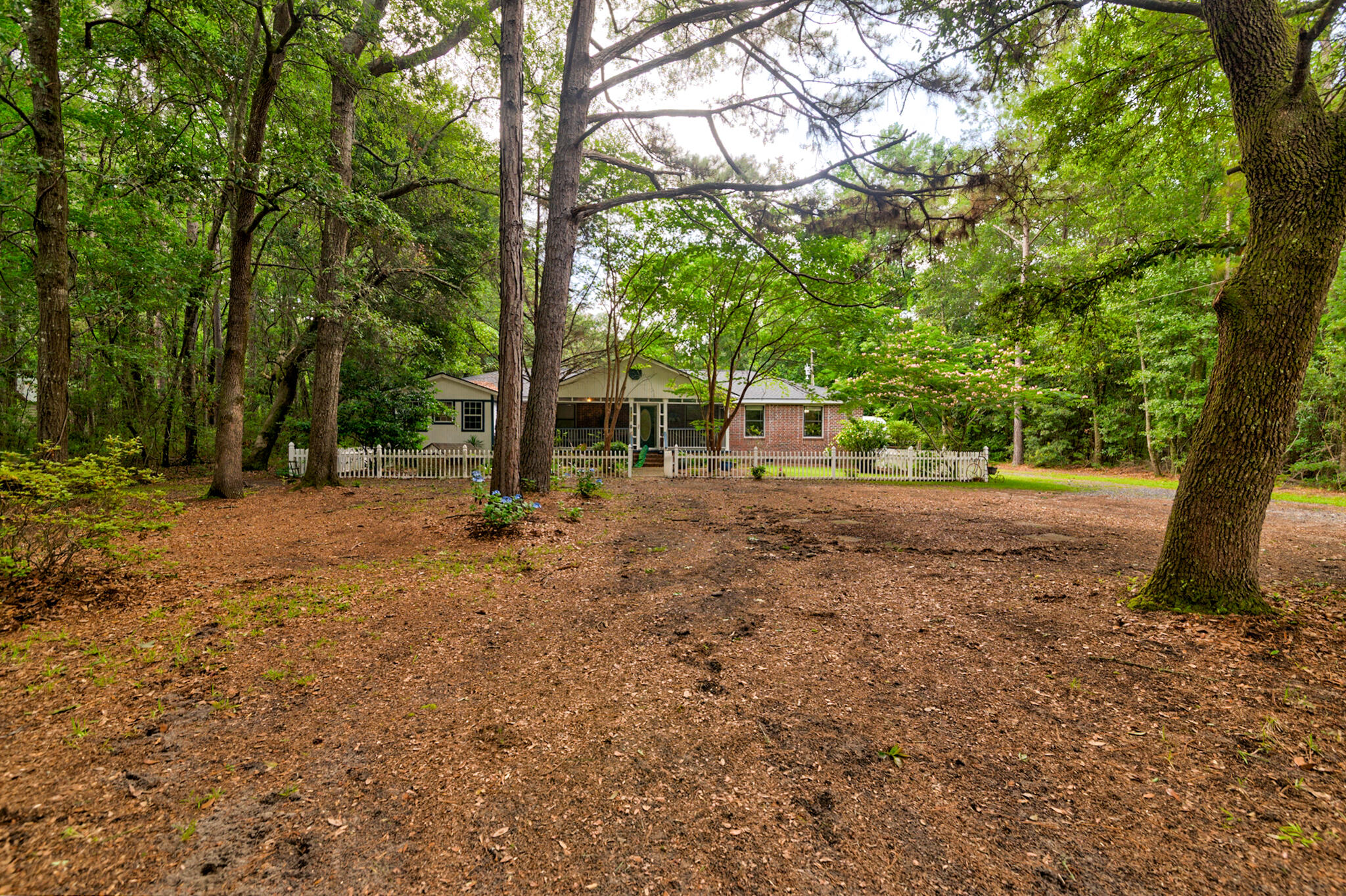1384 Tibwin Road McClellanville, SC 29458 - Photo 44 of 52 Large Front Yard
