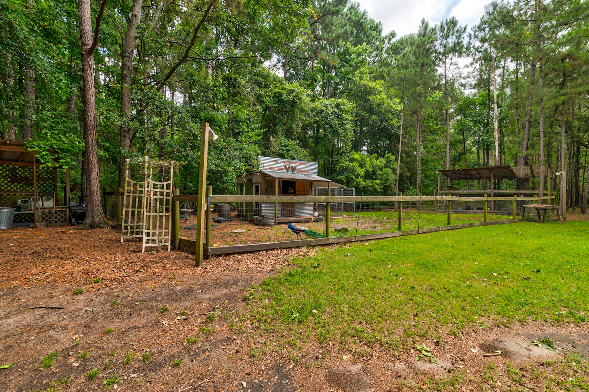 1384 Tibwin Road McClellanville, SC 29458 - Photo 48 of 52 chicken Coop and Avairy