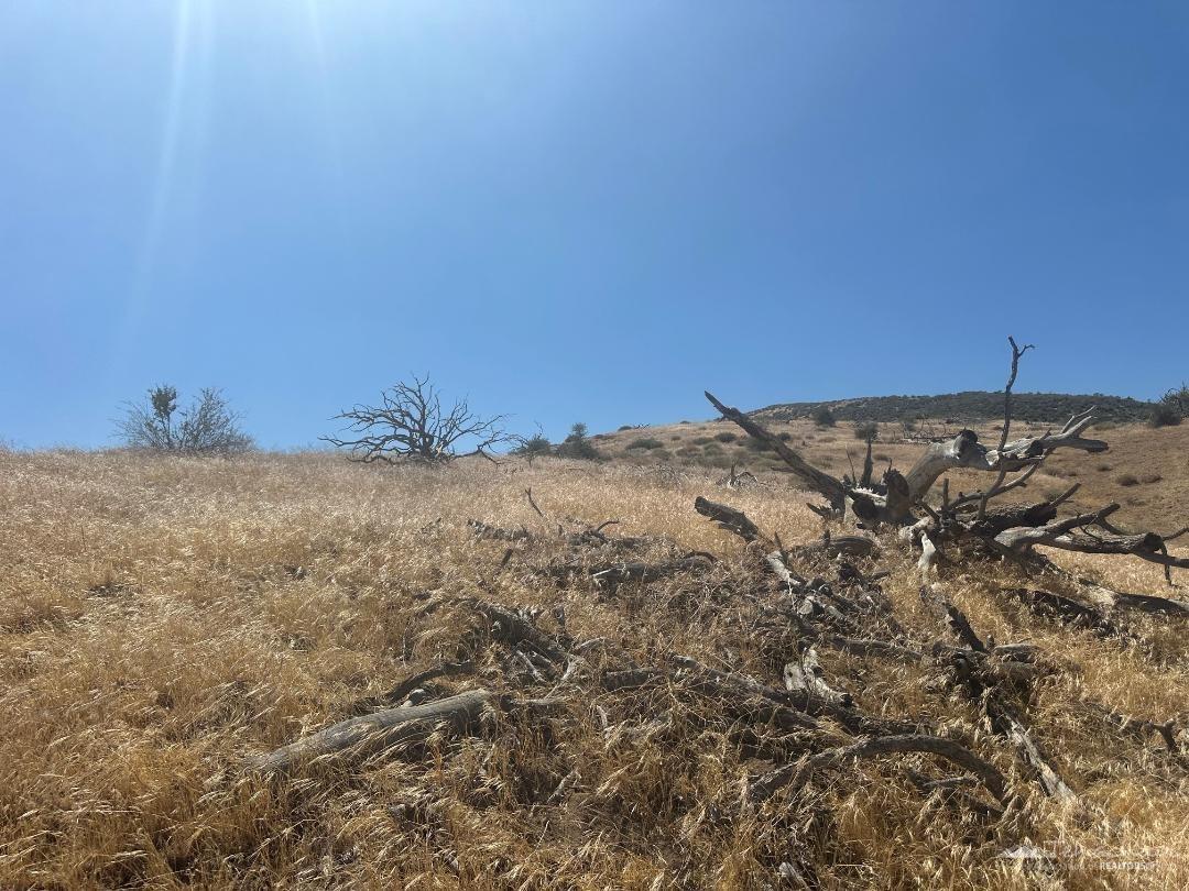 1 Snowshoe Lane Tehachapi, CA 93561 - Photo 18 of 19 Gallery Image 18
