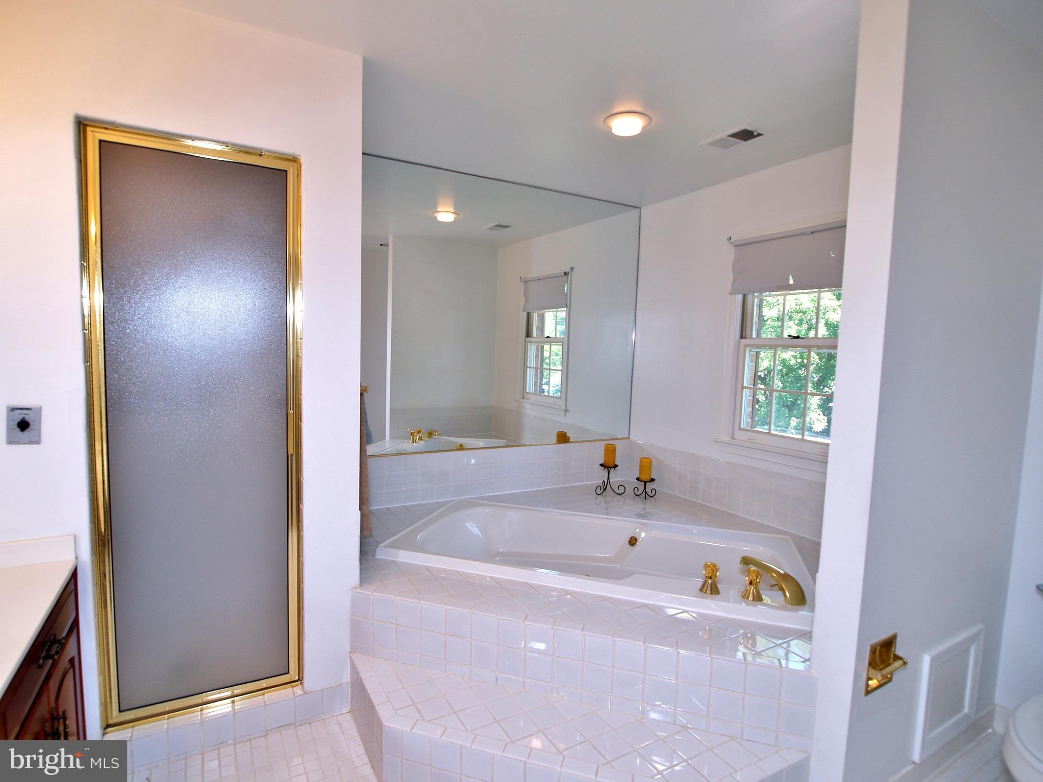 661 Bryants Nursery Road Silver Spring, MD 20905 - Photo 18 of 30 MasterBA with Whirlpool tub and steam sauna shower