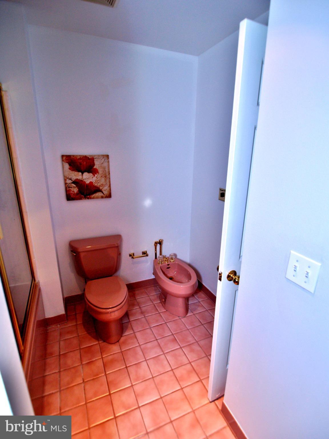 661 Bryants Nursery Road Silver Spring, MD 20905 - Photo 23 of 30 Luxurious whirlpool tub and bidet