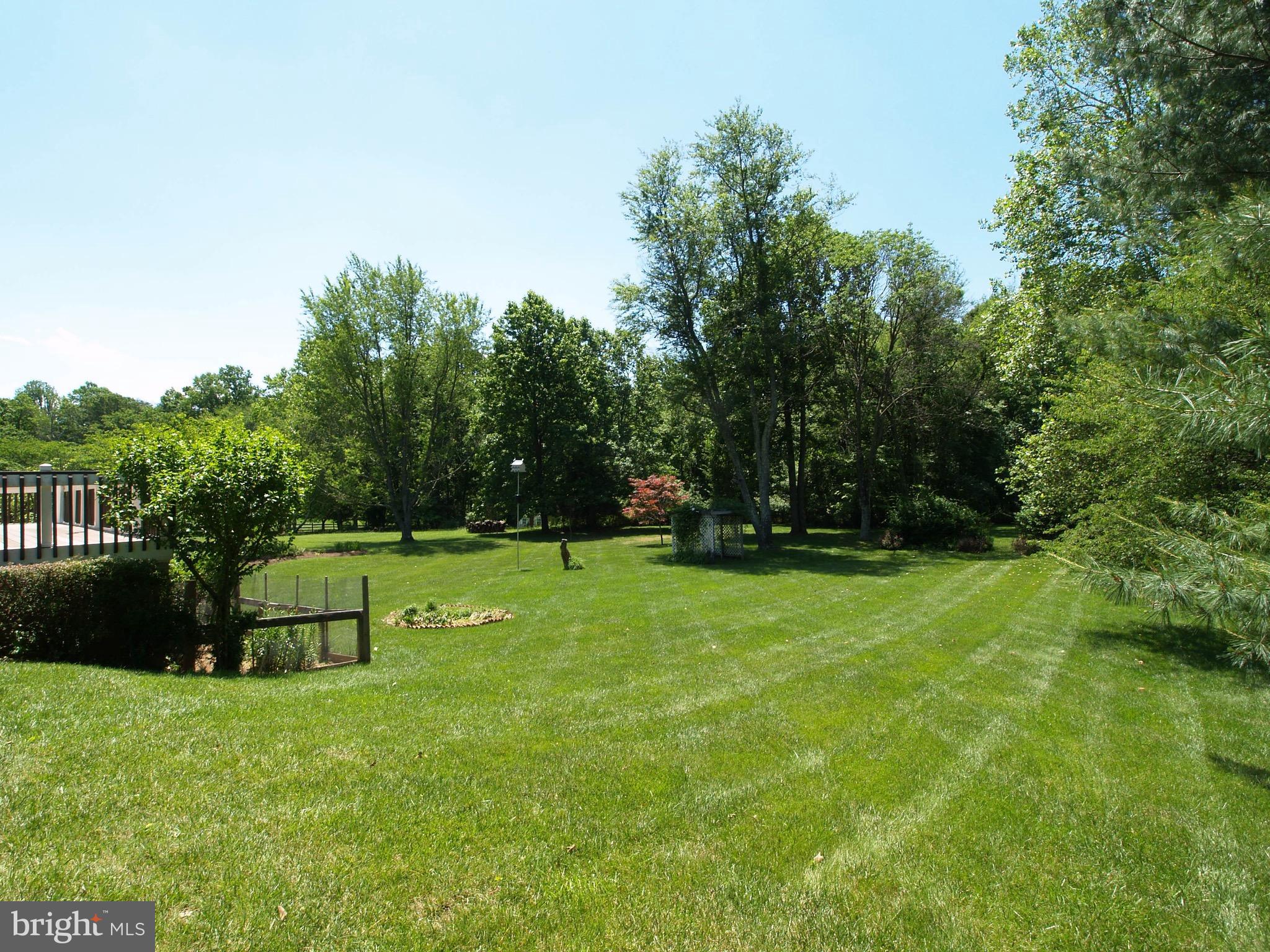 661 Bryants Nursery Road Silver Spring, MD 20905 - Photo 29 of 30 Expansive backyard view