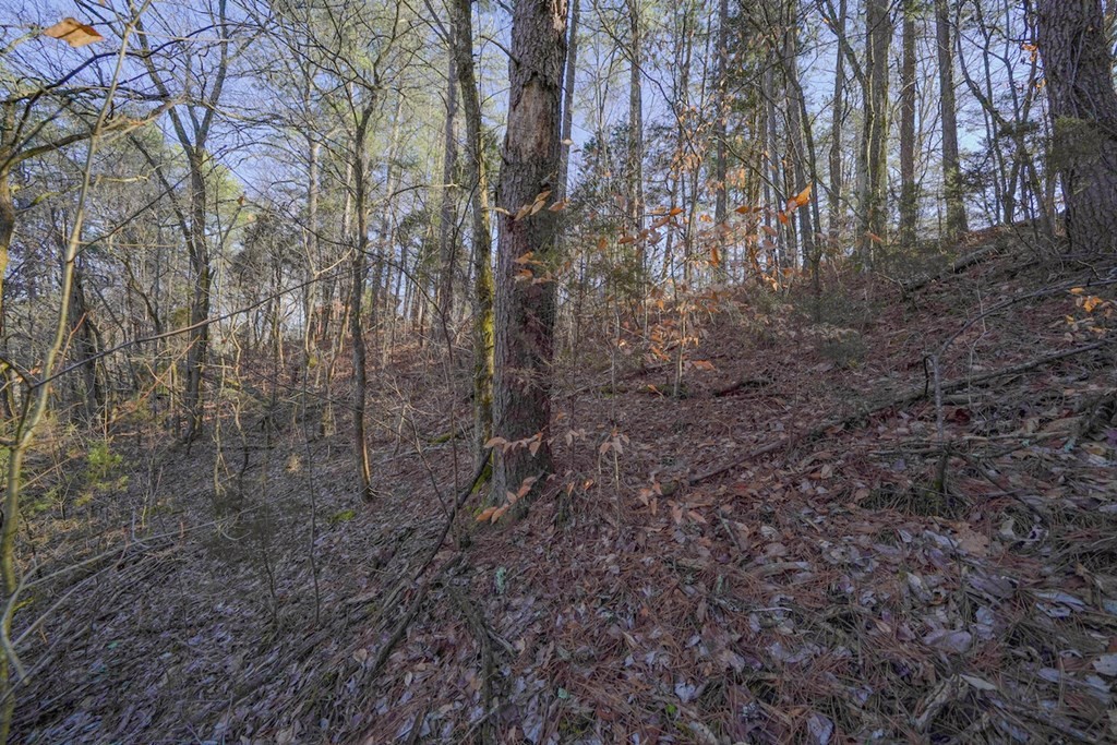 0 South New Era Road Sevierville, TN 37862 - Photo 6 of 10 Gallery Image 6