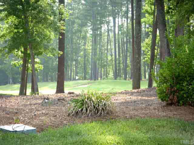 11015 Maplecroft Court Raleigh, NC 27617 - Photo 8 of 10 View from the patio!