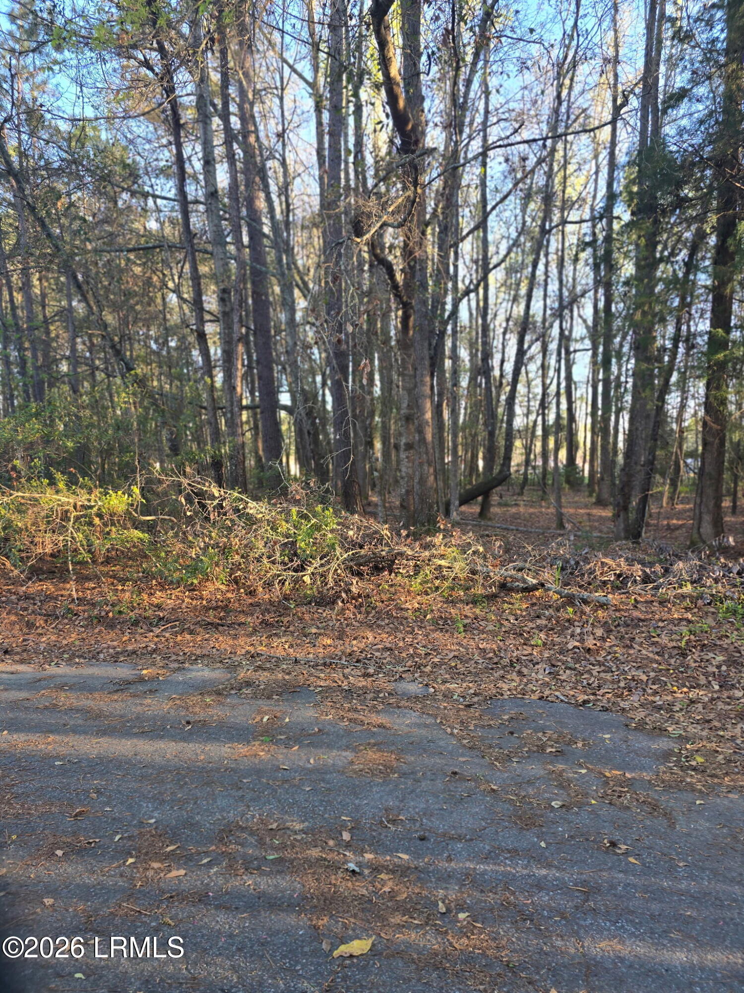 Lot 12 Freeman Street Brunson, SC 29911 - Photo 1 of 8 1423488638706417845