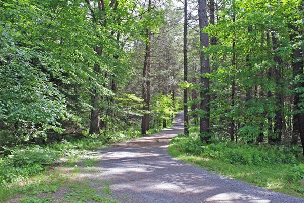 31 Fisher Road Northfield, MA 01360 - Photo 30 of 30 Gallery Image 30