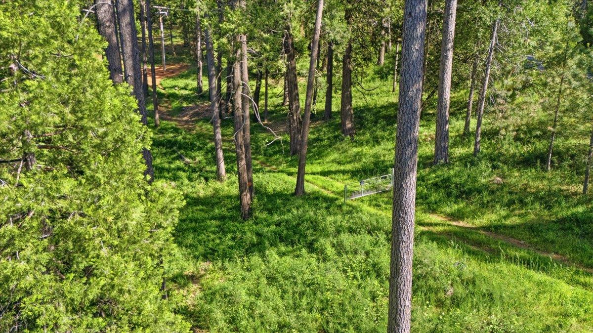 11021 Pittsburg Mine Road Nevada City, CA 95959 - Photo 21 of 36