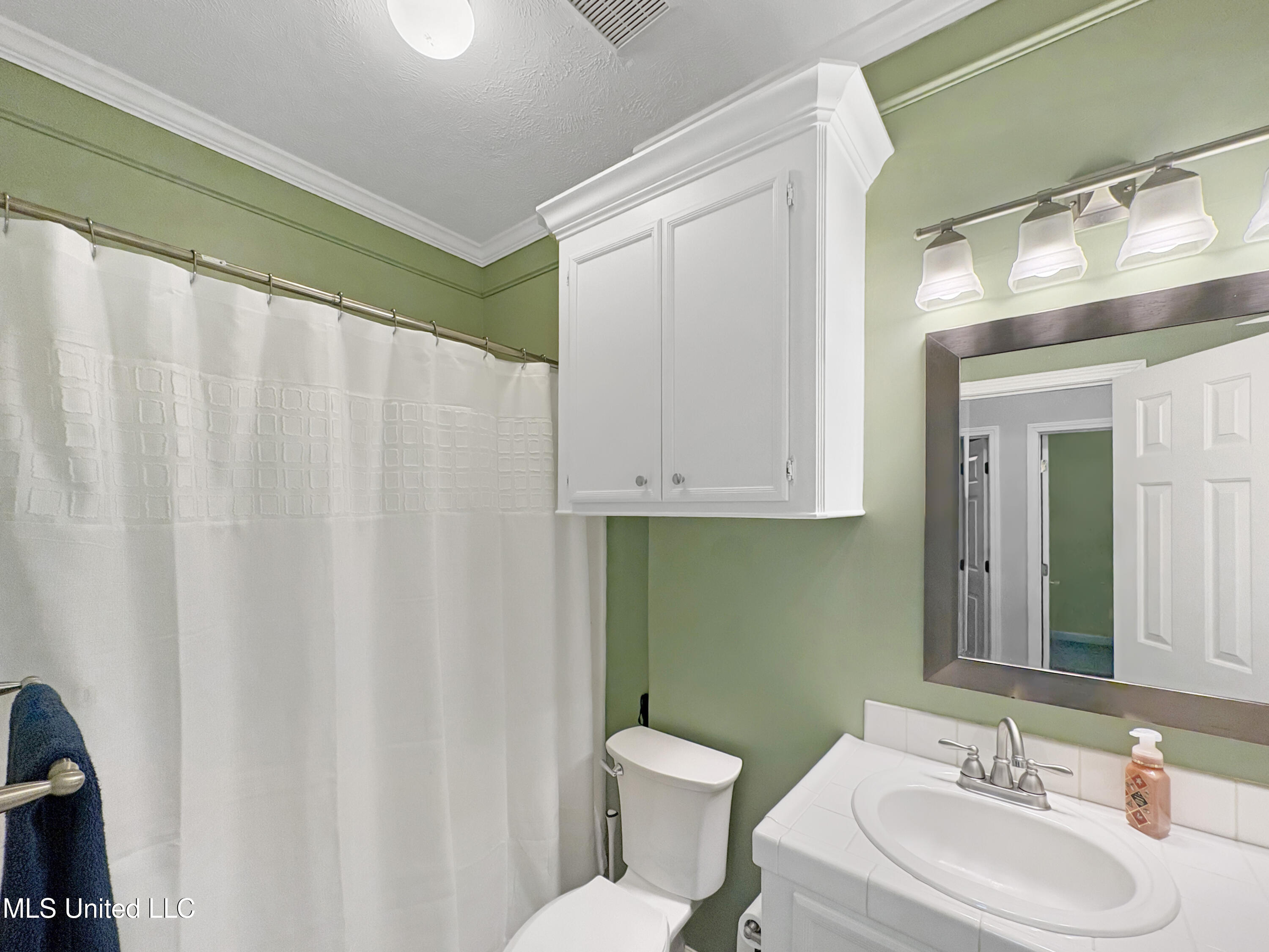 190 Commonwealth Avenue Brandon, MS 39047 - Photo 13 of 22 guest bath