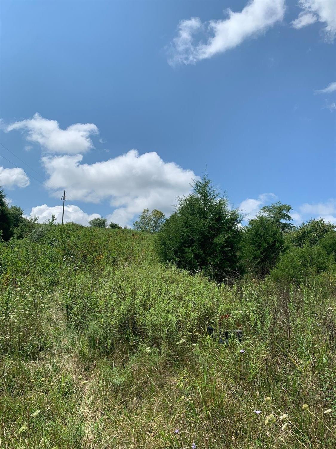 573 Luke Road Sadieville, KY 40370 - Photo 6 of 6 Photo 6