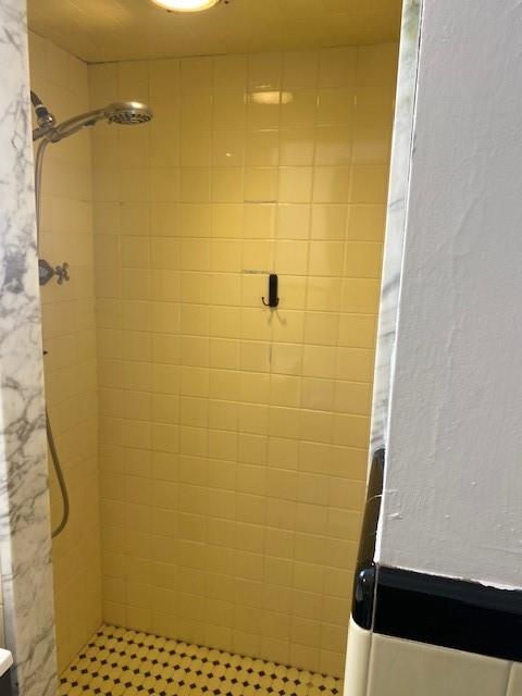7025 Meade Street, Unit 1 Pittsburgh, PA 15208 - Photo 19 of 21 a bathroom with a shower