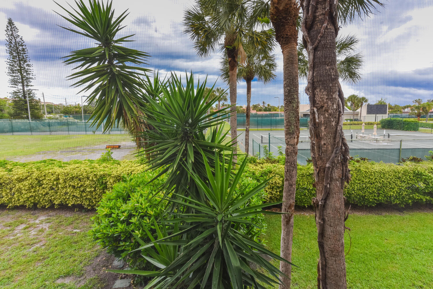 1605 Highway 1, Unit V4206 Jupiter, FL 33477 - Photo 20 of 30 a view of a yard with a palm tree