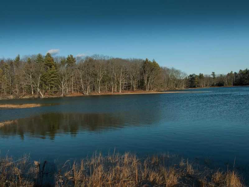 9 Barrell's Grove Road York, ME 03909 - Photo 11 of 17 View.