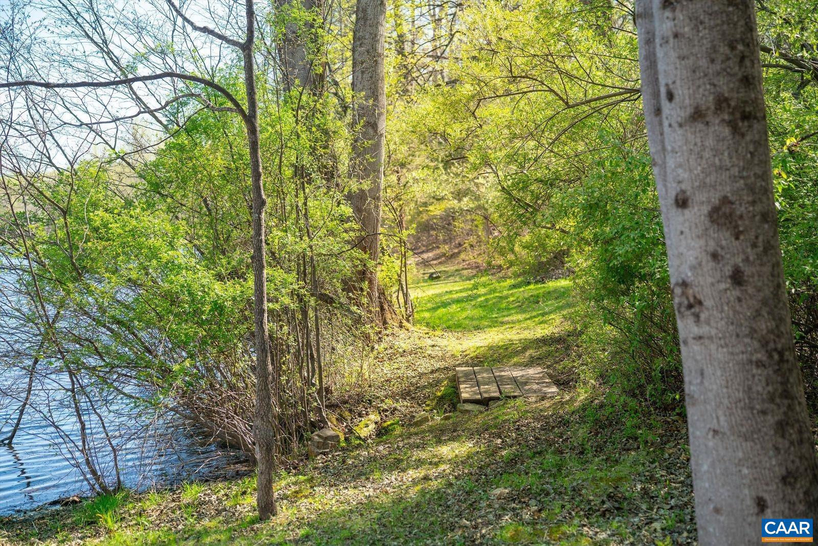 336 Bear Run Road Stanardsville, VA 22973 - Photo 60 of 67 a view of a yard with plants and large trees