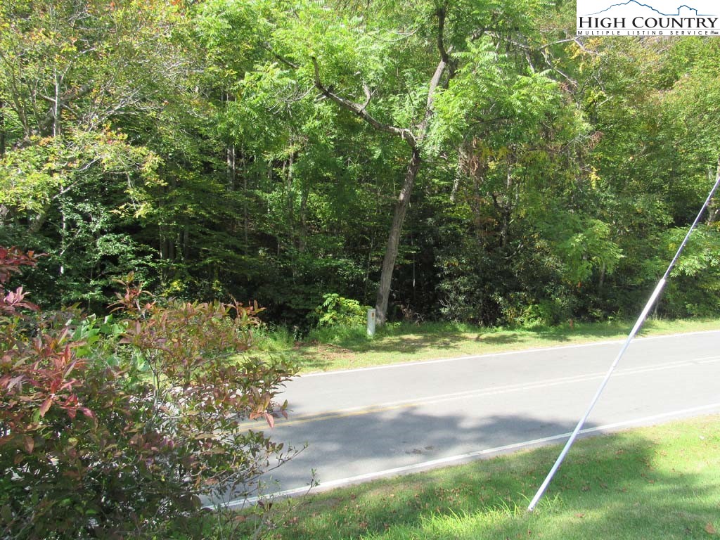 458 Paul Goodman Road Fleetwood, NC 28626 - Photo 11 of 22 a view of a yard with plants