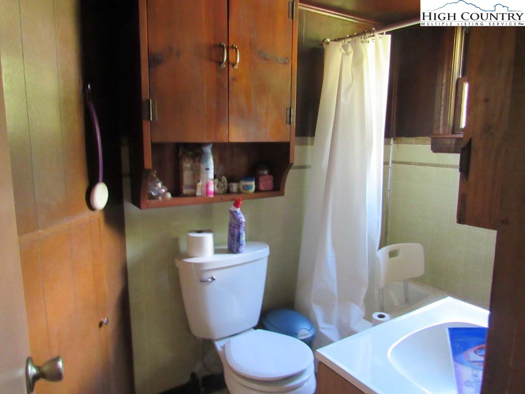 458 Paul Goodman Road Fleetwood, NC 28626 - Photo 21 of 22 a bathroom with a toilet and a sink