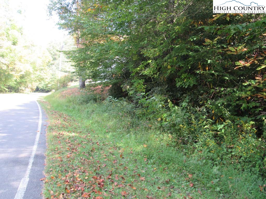 458 Paul Goodman Road Fleetwood, NC 28626 - Photo 5 of 22 a view of a yard with plants and a bench