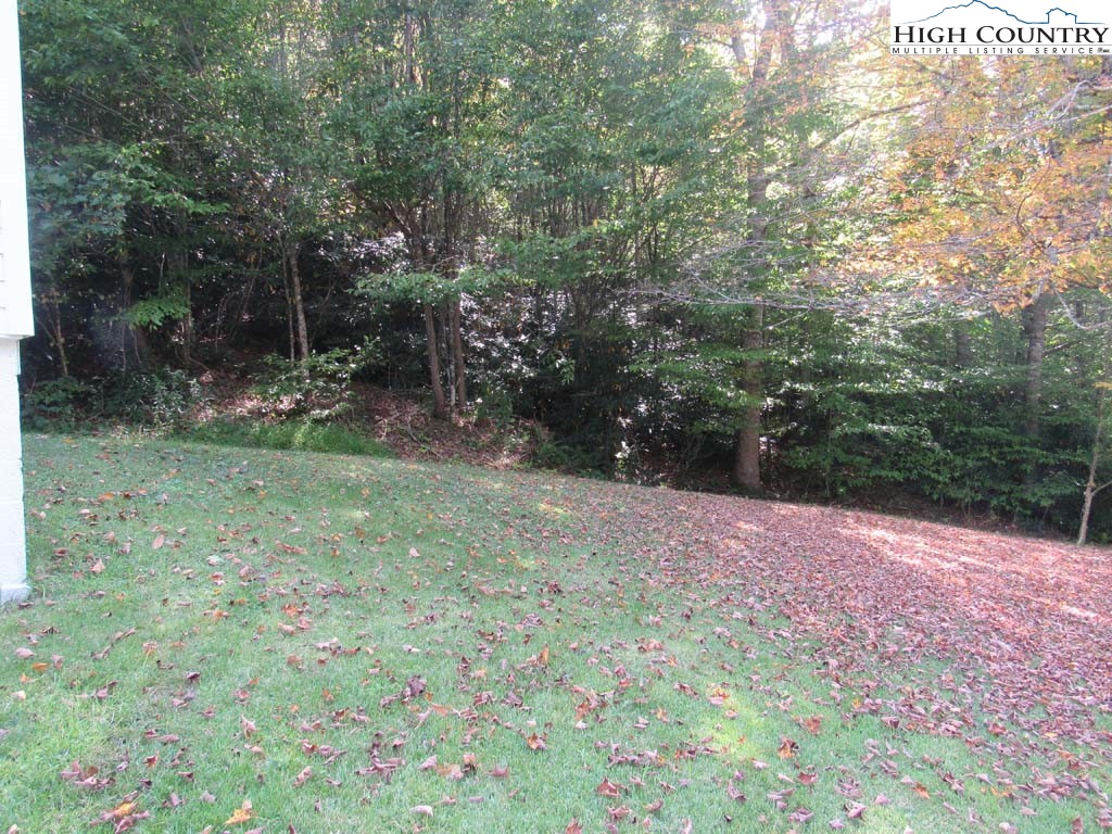 458 Paul Goodman Road Fleetwood, NC 28626 - Photo 9 of 22 a backyard of a house with lots of green space