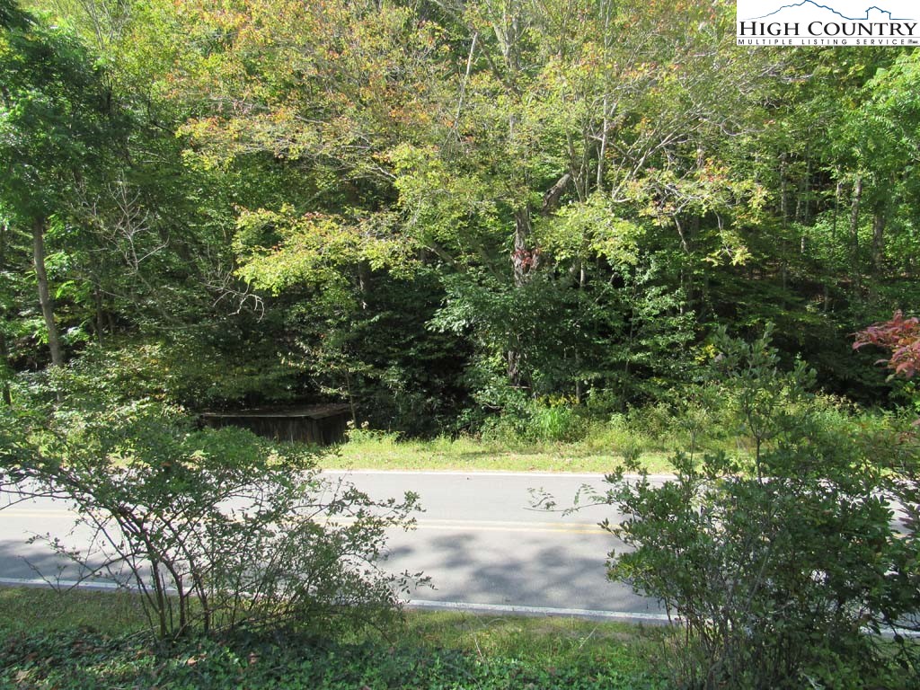 458 Paul Goodman Road Fleetwood, NC 28626 - Photo 10 of 22 a view of a yard with plants and large trees