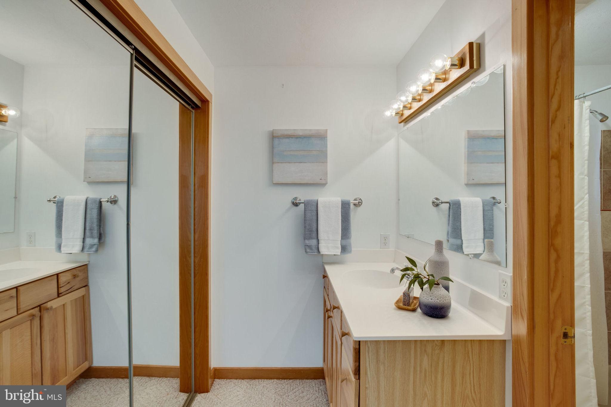 1201 Key Drive Alexandria, VA 22302 - Photo 70 of 82 Guest House En-suite Bath 2