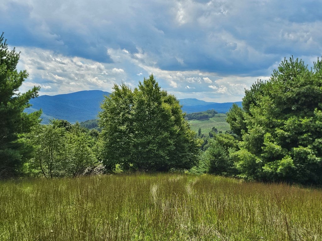 1072 Briar Patch Mountain Road, Unit 3 Fries, VA 24330 - Photo 14 of 25 Gallery Image 14