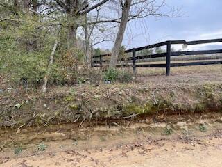7.8-acres Deer Stand Road Wagener, SC 29164 - Photo 8 of 14