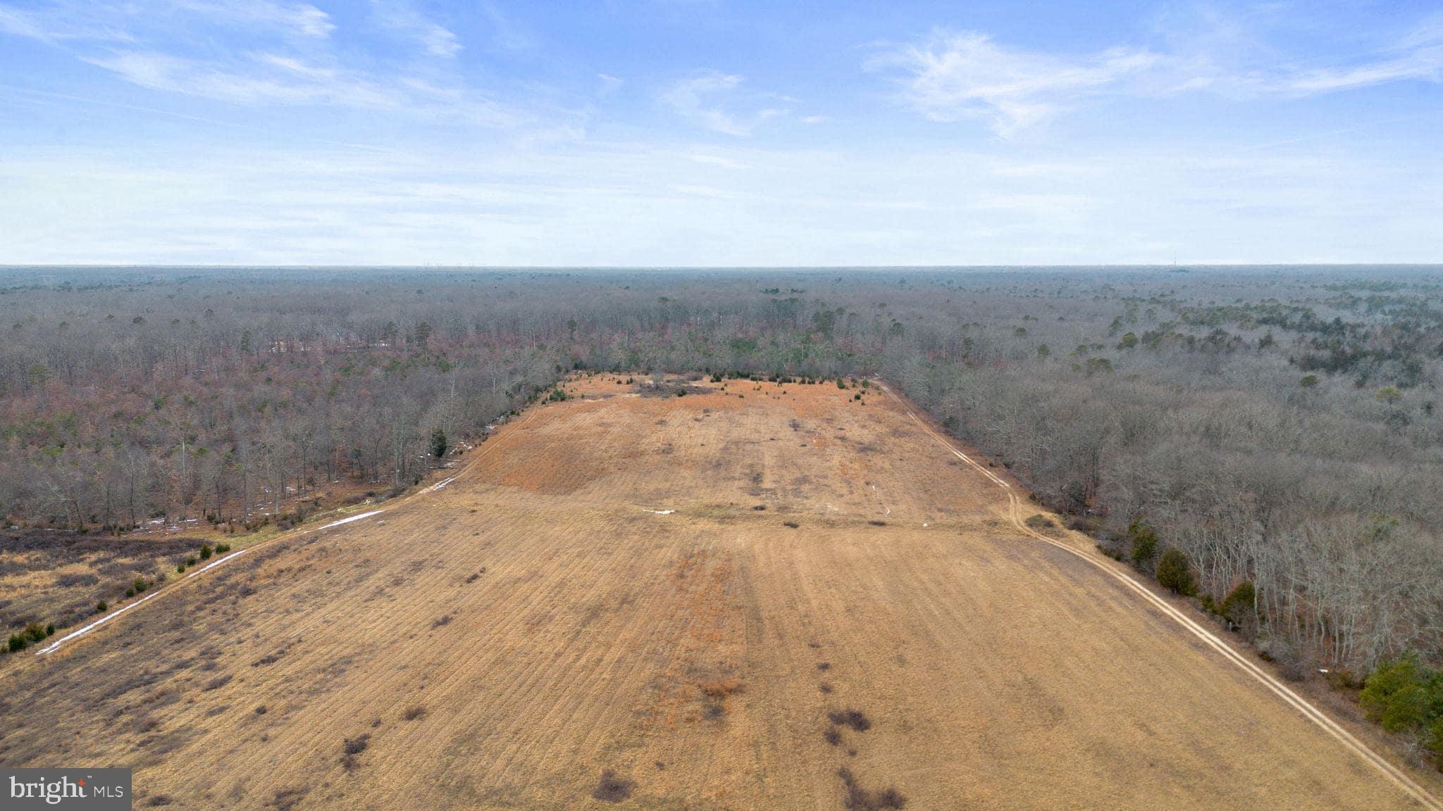 2090 Blue Bell Road Williamstown, NJ 08094 - Photo 8 of 90