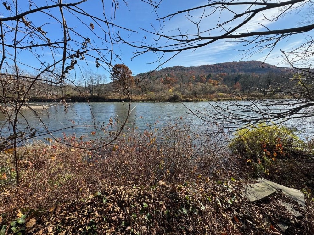 36 Main Street Deposit, NY 13754 - Photo 5 of 22